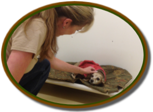 Suzen's special attention